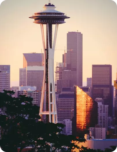 ხელვაჩაური